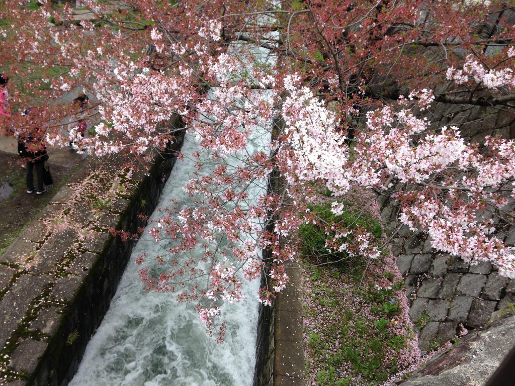 京都Yunokian别墅 外观 照片